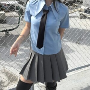 Big Collar Short Sleeve Blouse